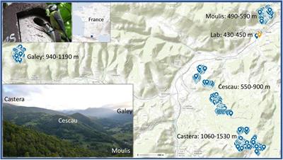 Elevational Gradients as a Model for Understanding Associations Among Temperature, Breeding Phenology and Success